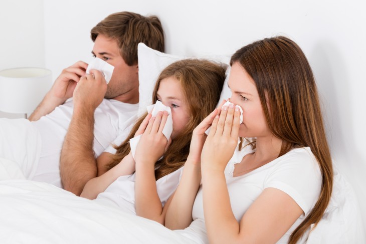 Winning the Battle Against Indoor Allergies | Bayhealth