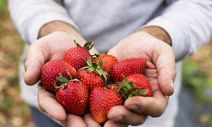 Person holding a handful of strawberries that are good for Osteoarthritis