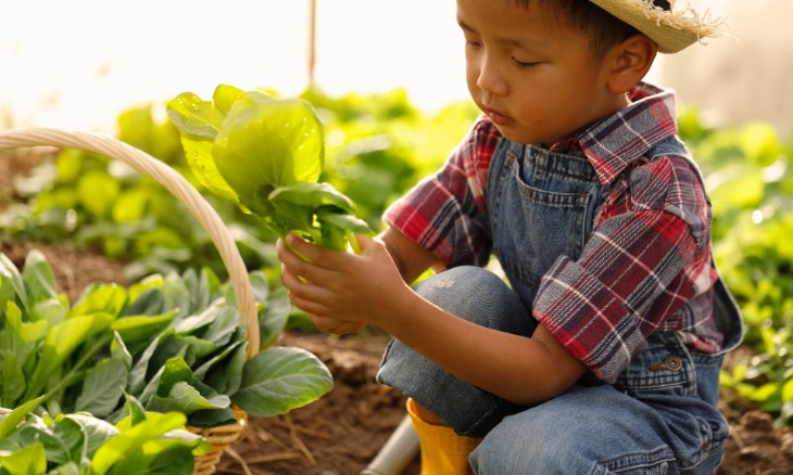 gardening for mental health