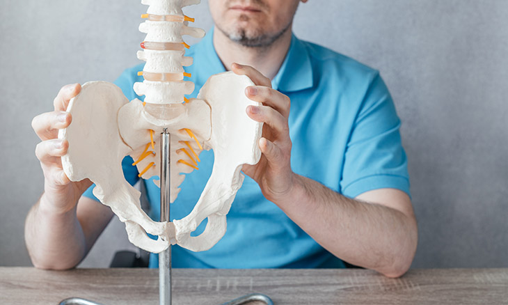 A man looks at a medical model of hip bones