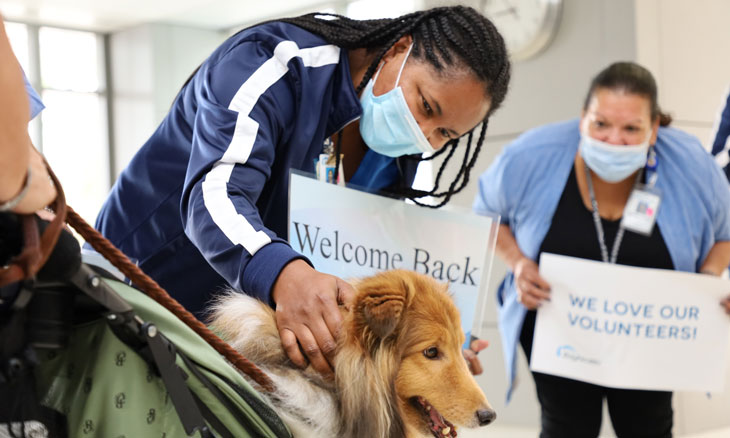 Pet Therapist return to hospital