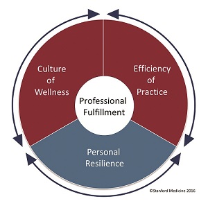 Medical Staff Wellness Stanford Model