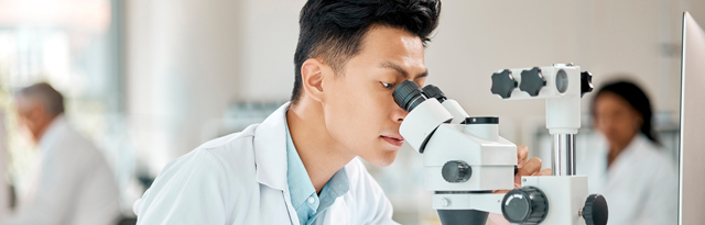 Bayhealth Clinical Careers