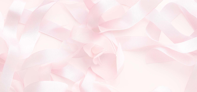 Bayhealth Free Mobile Breast Exams