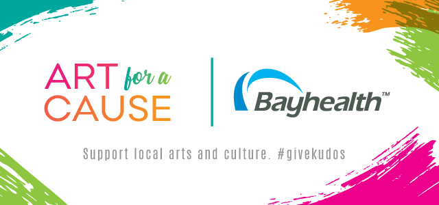 Bayhealth Project Kudso